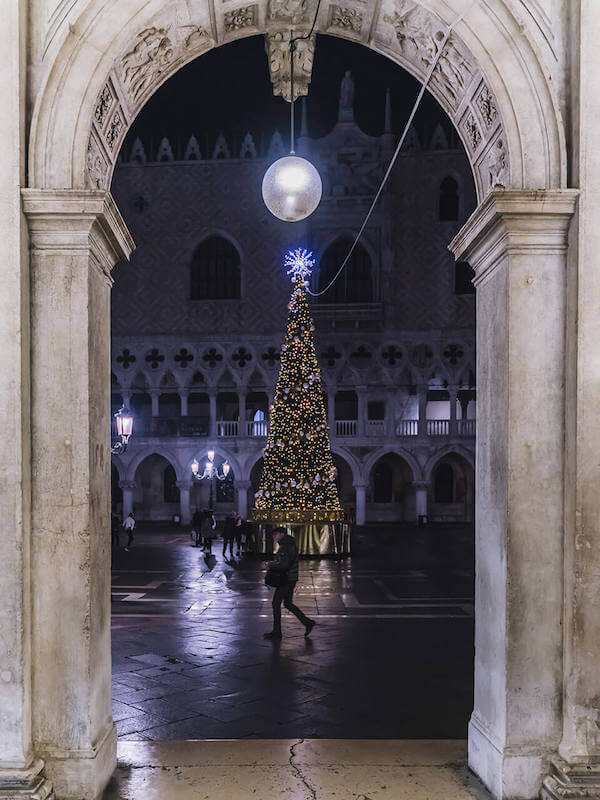 ph-settimo-cannatella-albero-sanmarco-4